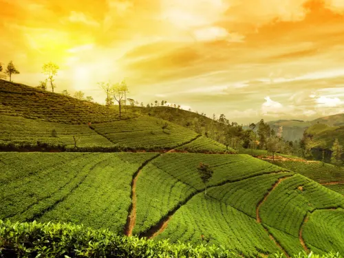 Assam Meghalaya Laitlum ...