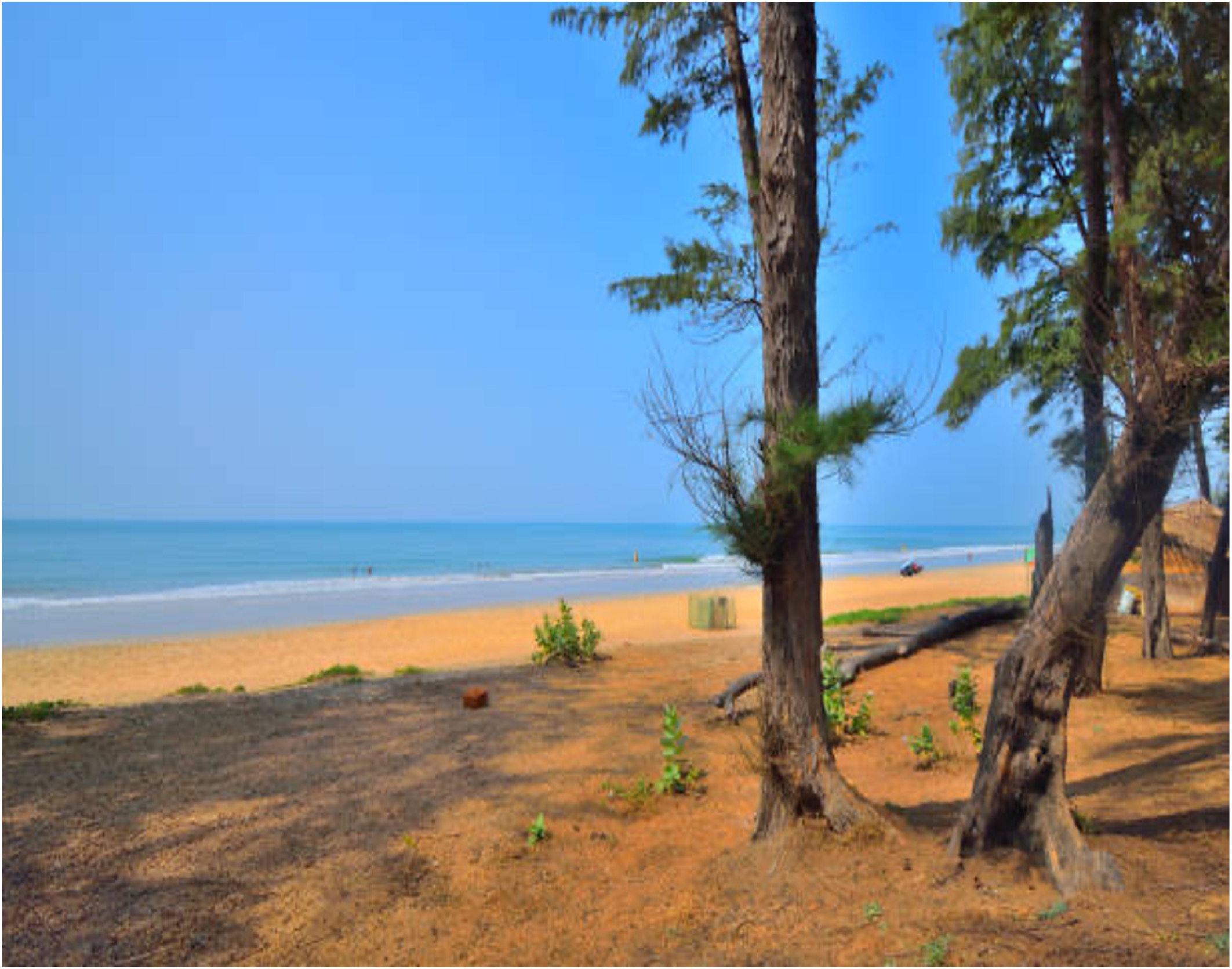 Devbagh Beach Resort  