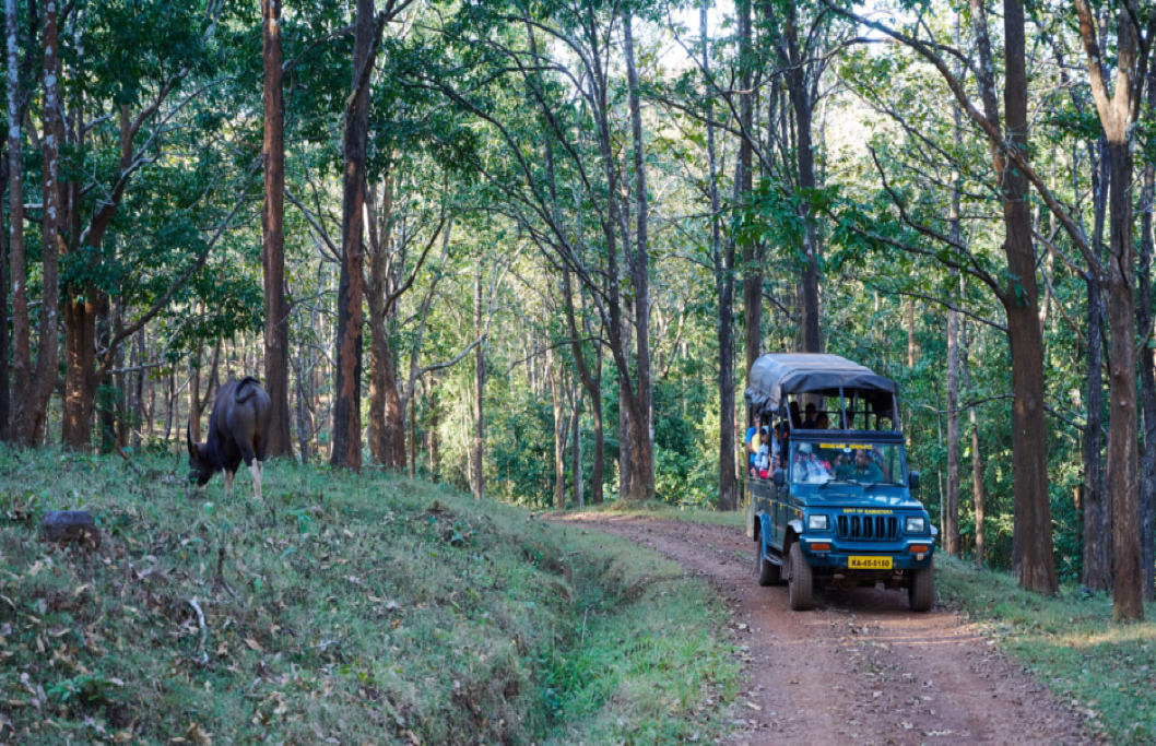 Kali River Adventure                              